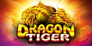 Cách chơi rồng hổ