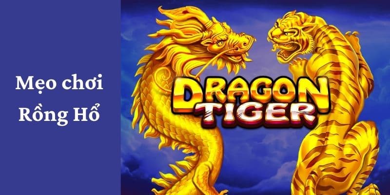 Chiến thuật tham gia trò chơi rồng hổ siêu hấp dẫn