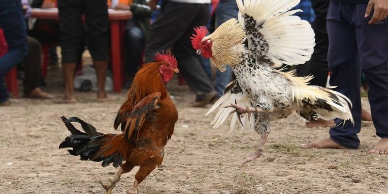 Thế chọi mé nguy hiểm